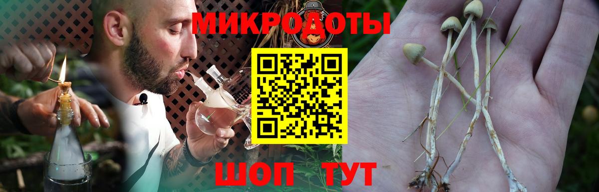Галлюциногенные грибы Psilocybe Советский